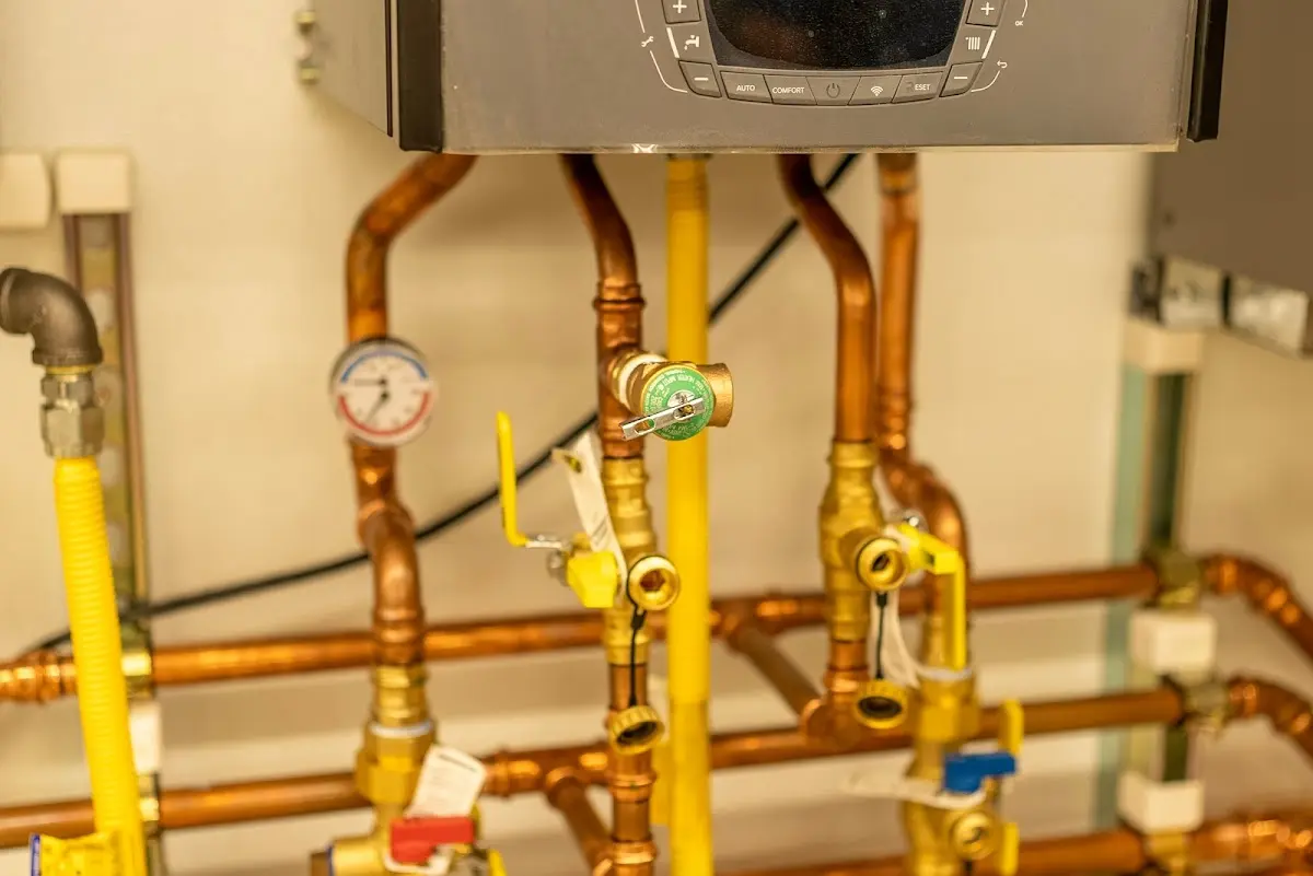 Licensed technician providing Sump Pump Repair for a homeowner in Clemson